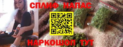 молекула духа Шахты